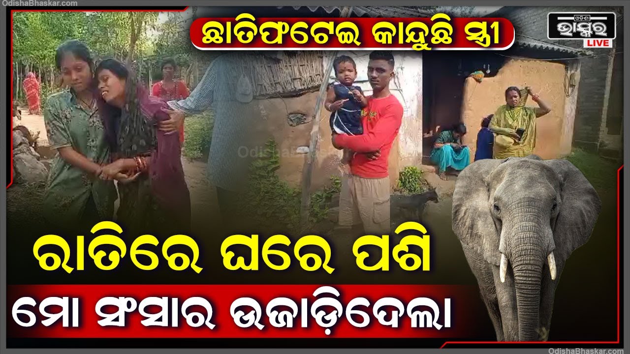 ଘରେ ପଶିଲା ସ୍ୱାମୀର ଜୀବନ ନେଲା... ସ୍ତ୍ରୀ ମଥାରୁ ଲିଭିଗଲା ସିନ୍ଦୂର... ଏବେ କାନ୍ଦୁଛି ସ୍ତ୍ରୀ ଓ ଛୁଅ..