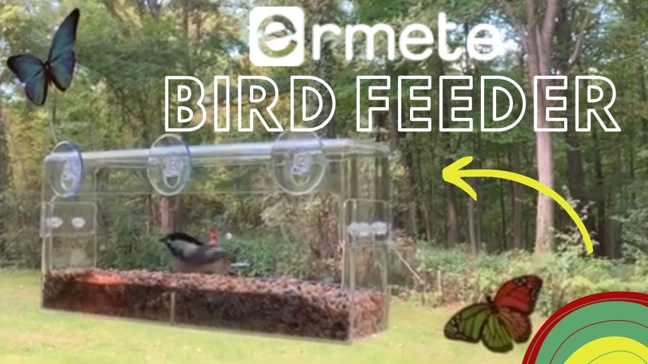 Ermete Window Bird Feeder with Suction Cups | Clear View Bird Feeder