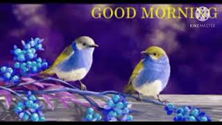 #short 😈 Good Morning 💫video❤️ || 💯Cute Birds Ringtone || 💯 screenshot 4