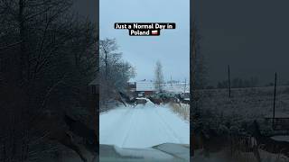 Just A Normal Day in Poland 🇵🇱 #poland #normalday #mountains #reindeer #winters