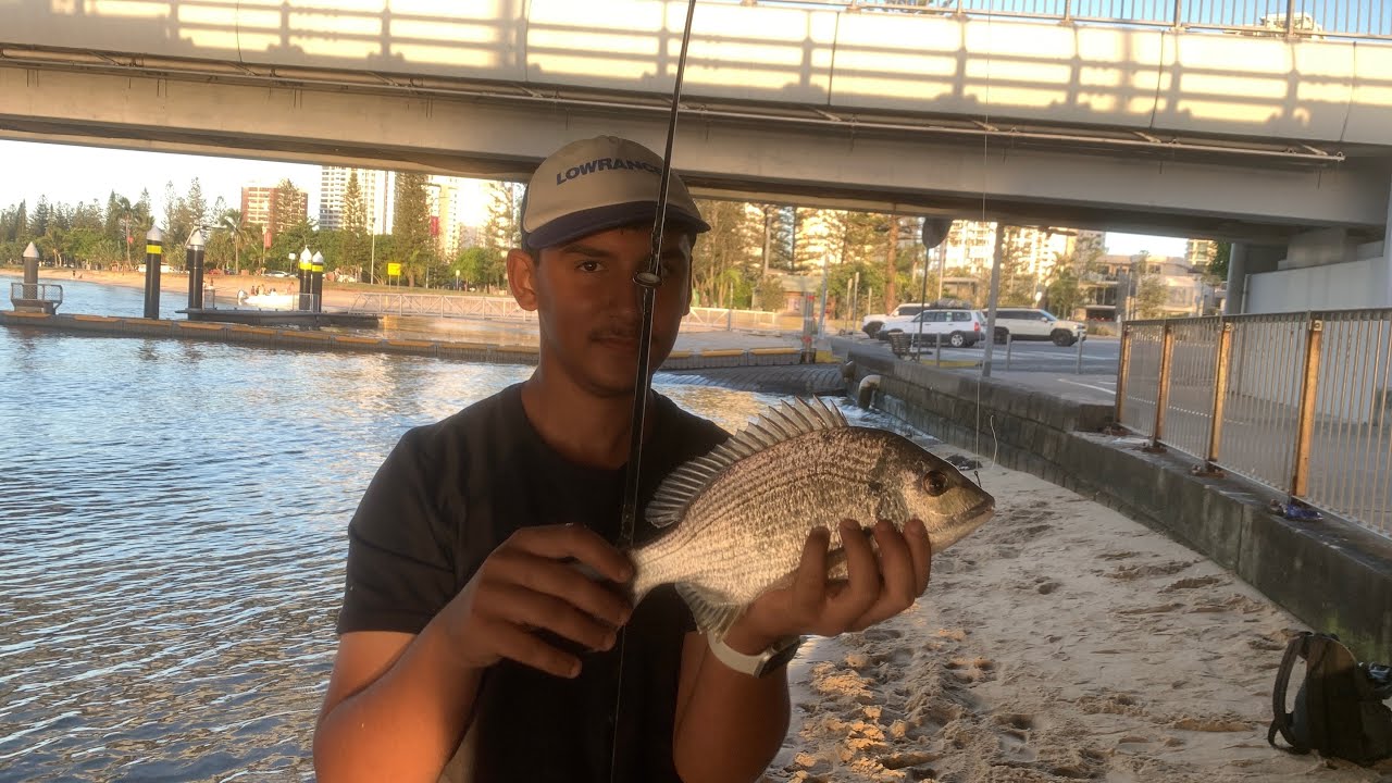 Fishing Gold Coast 
