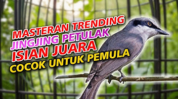DUET TEMBAKAN MASTER JINGJING PETULAK VS PIJANTUNG PISANG