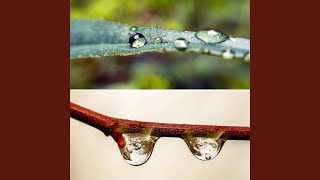 Fun Moods for Cozy Thunderstorms