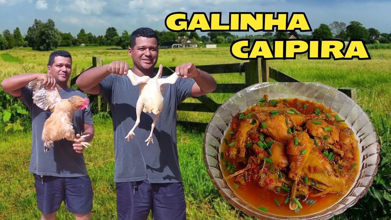 RECEITA DE GALINHA CAIPIRA FÁCIL DE FAZER COMO FAZER GALINHA CAIPIRA