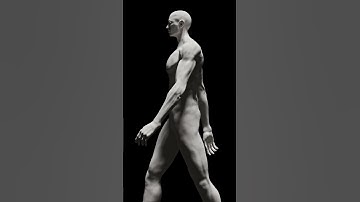 Blender | Xmuscle - Muscle Simulation Test       #blender #xmuscle #render #muscle #simulation