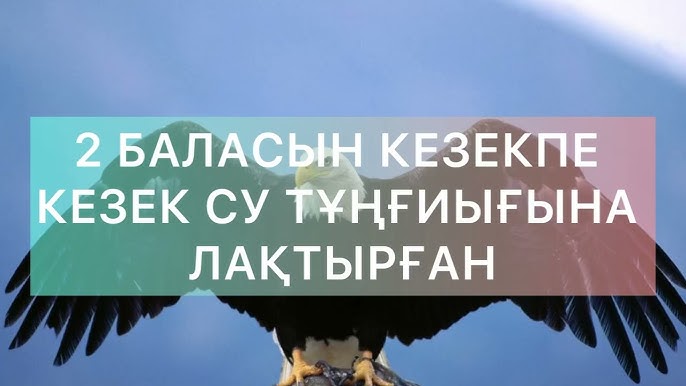 Жезөкше Санкт-Петербург ардагерлер даңғылы Наташа Королеваның қатысуымен порно суреттер