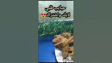 محاولة خطف بنتى لولا الست الجدعه مسكت المجرم وعملت عليه حفله أجنحة دجاج كنتاكى فرح محمد حوارت 