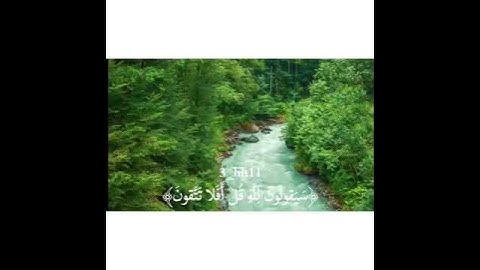 ارح سمعك - قرآن كريم بصوت: رعد الكردي  | حالات واتس اب دينية