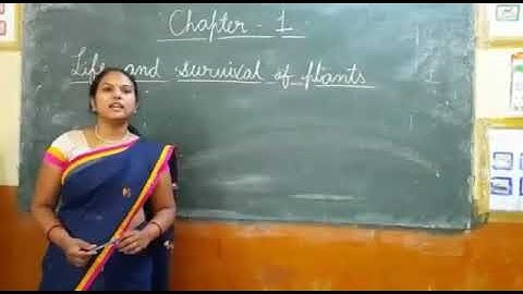 Dalauda Public School Class 4th science Chapter 1st by Bindu Tiwari (Part 2nd)