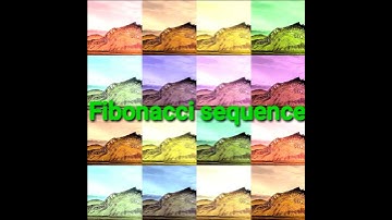 Sunflower follow llLI Fibonacci sequence Ll#shorts