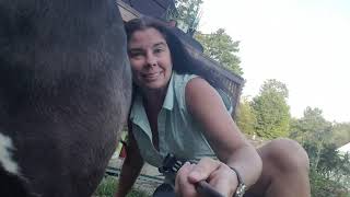 Intro to a new homestead/farm being build in central New Hampshire