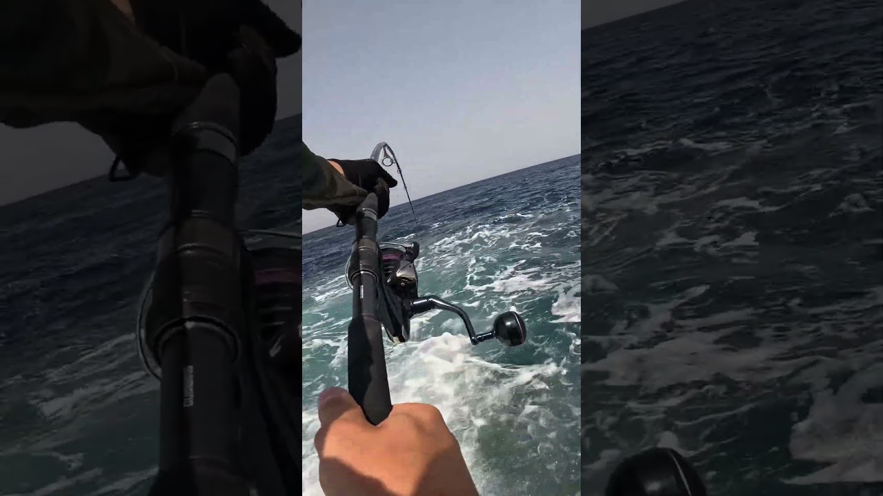 snimano coltsniper limited xxh stradic 8000xg 10x10 varivas pe 4 jig 180gr