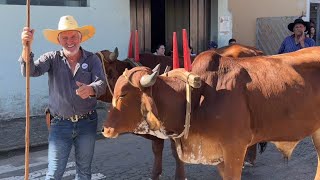 Encontro De Carro De Boi Borda da mata Minas Gerais 