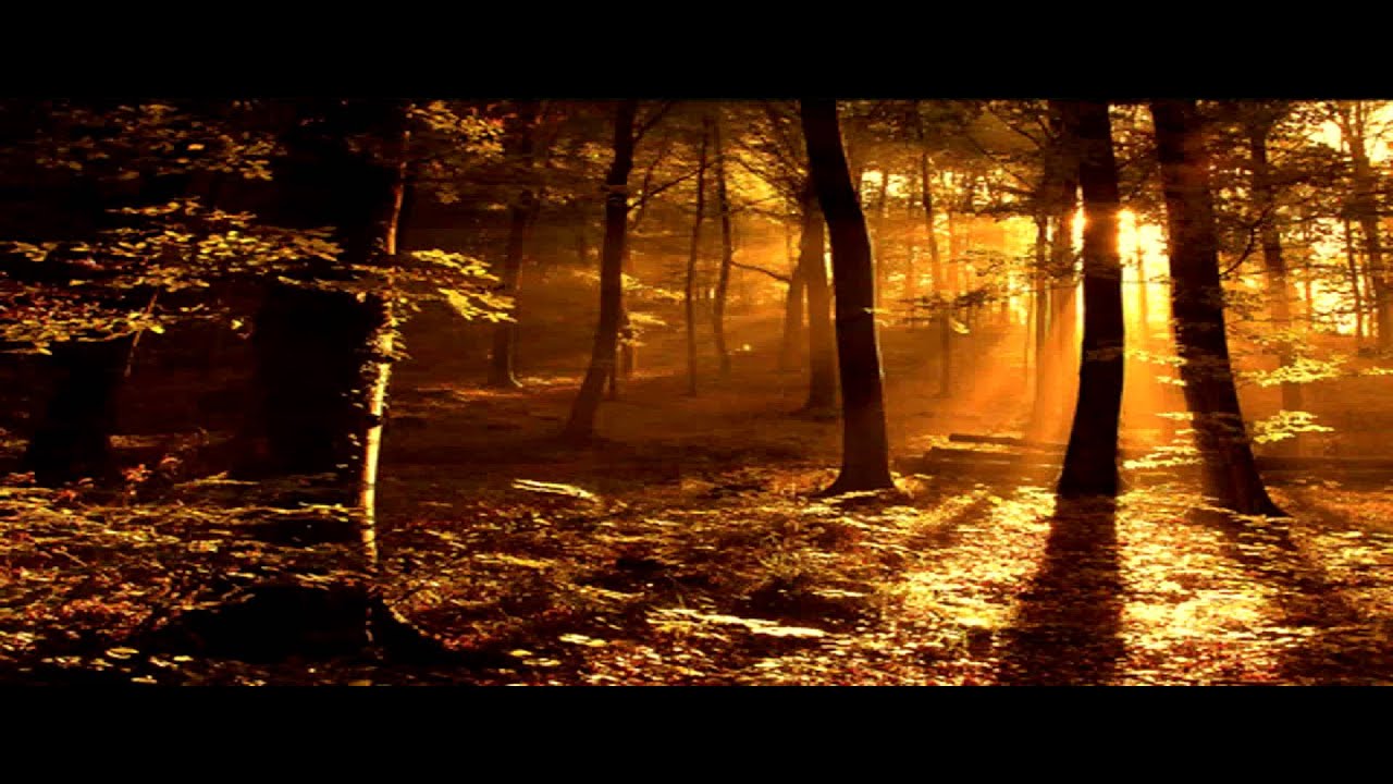 عباس سافار سورة الأنفال من اءلاية 4الى اءلاية 25