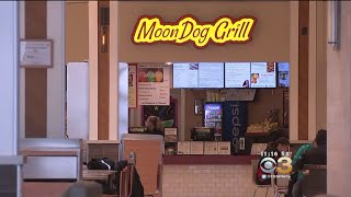 Taste With Tori: MoonDog Grill