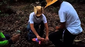 Video for my school project on linear equations.