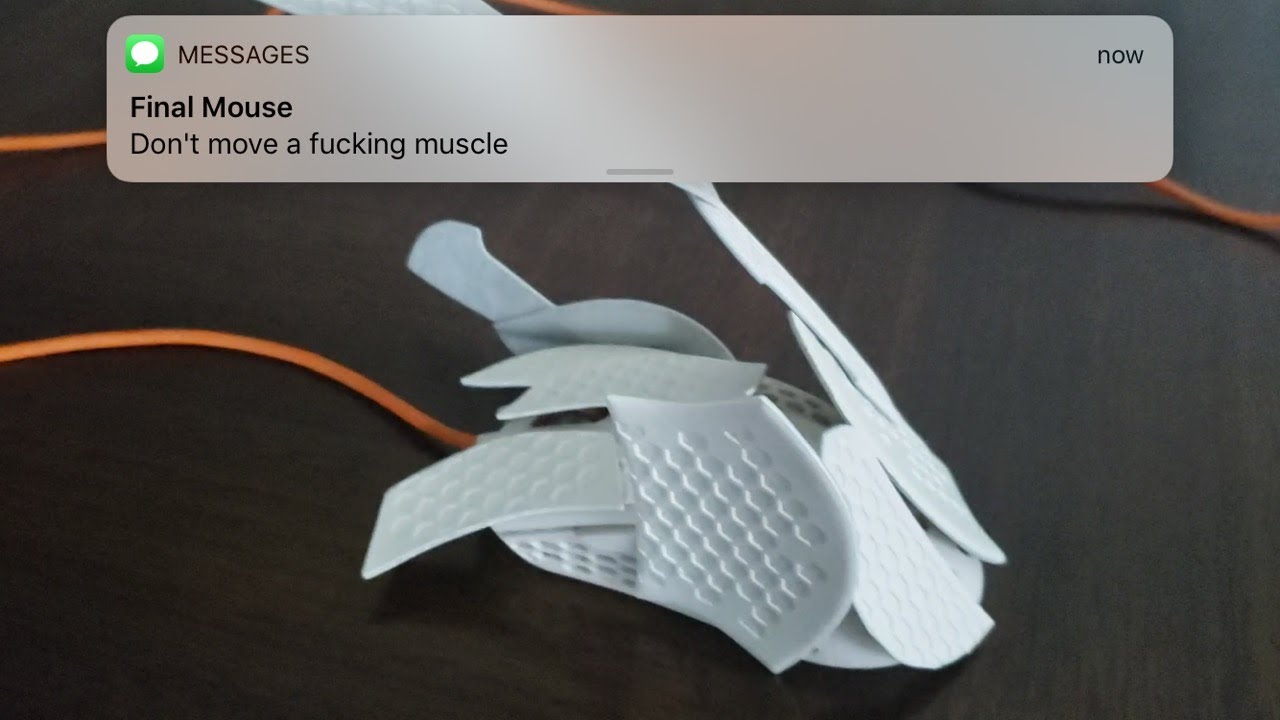 Da DAnkest Final MOUSE Unboxing/Review (final mouse ultralight 2/capetown) 