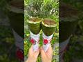 超濃厚の抹茶ブリュレクレープ