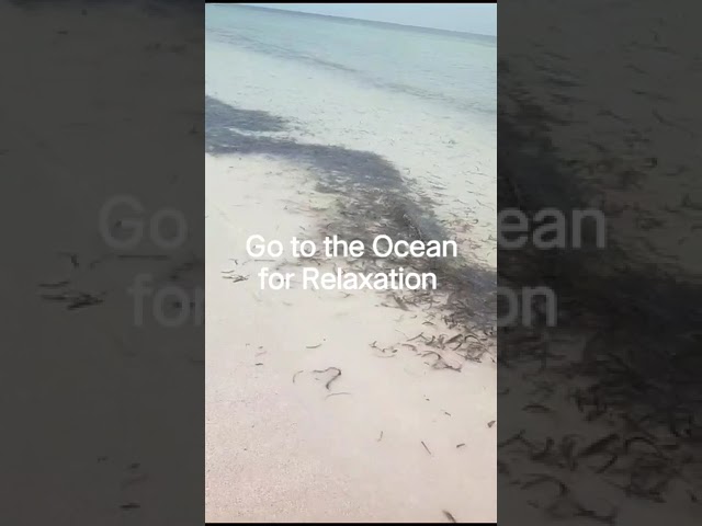 Ocean Breeze