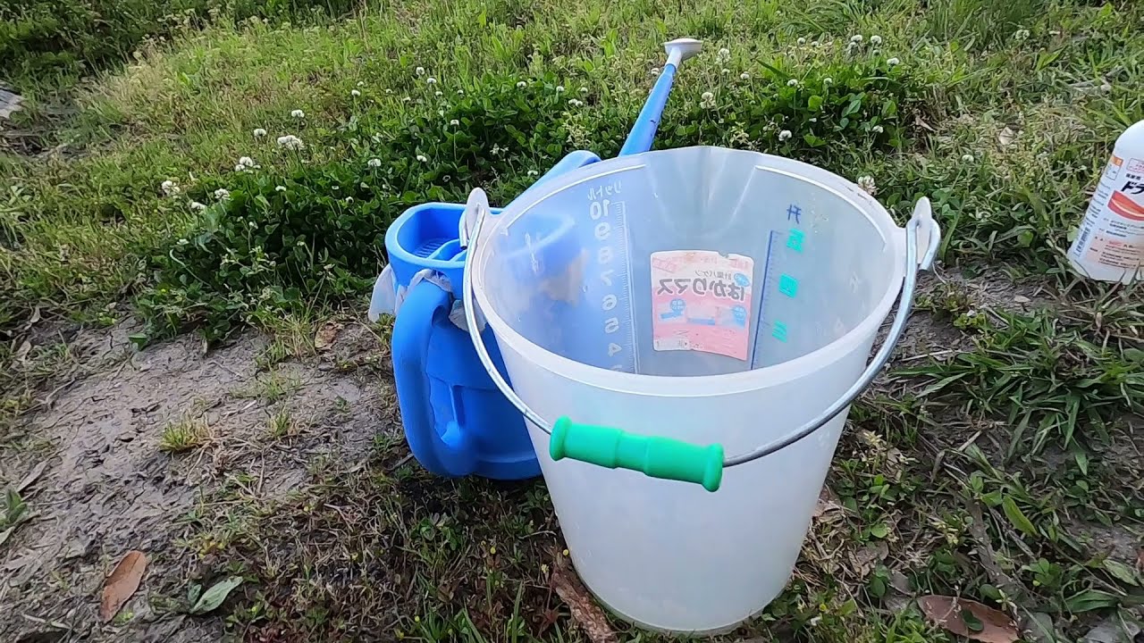 21 04 21 玉ねぎが べと病防除 殺菌剤 シグナムwdg と展着剤 ドライバー 浸透性 説明欄にて Youtube