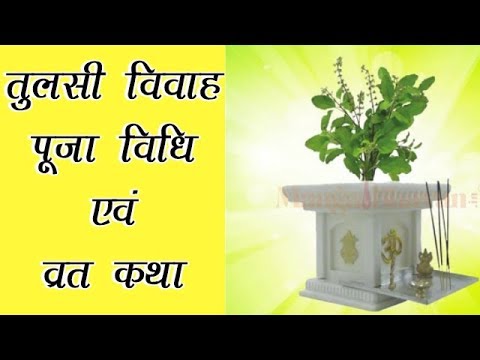 तुलसी-विवाह-पूजा-विधि-और-व्रत-कथा-हिंदी-में-|-tulsi-vivah-puja-vidhi-and-vrat-katha-in-hindi