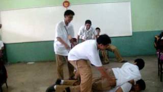 Iii- Sapphire Dog Pile 2008-2009