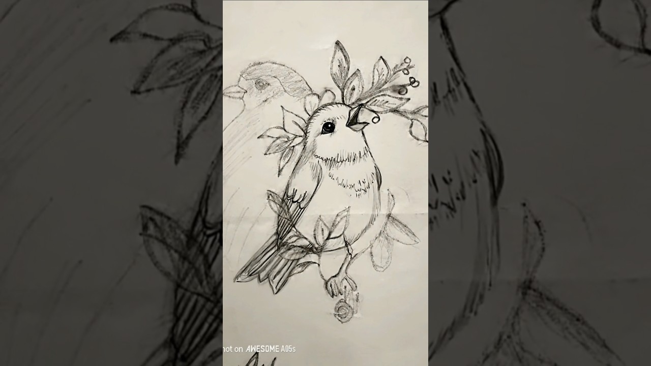 Awesome birds 🕊️ drawing ideas 
