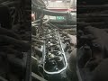 Gehl SL4510 Engine flooding from open valves #3 Cylinder