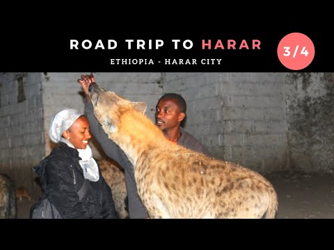 Driving To Harar (Pt.3 Ethiopia Travel Vlog) | Hyena, Food, and Family