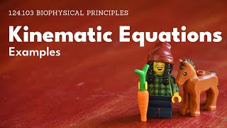 Celebrity Kinematic equations - free fall Wealth