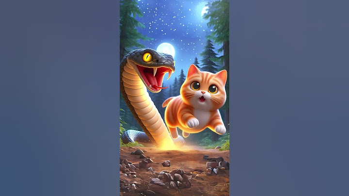 Never abandon your pets ! #cat #cute #socutekitty #aicats #ai