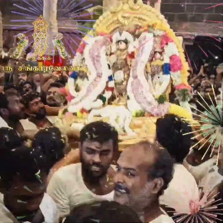 என்னோட தங்கமயில் சிங்காரவேலனுக்கு எப்படி வியர்க்குது பாருங்க🙏