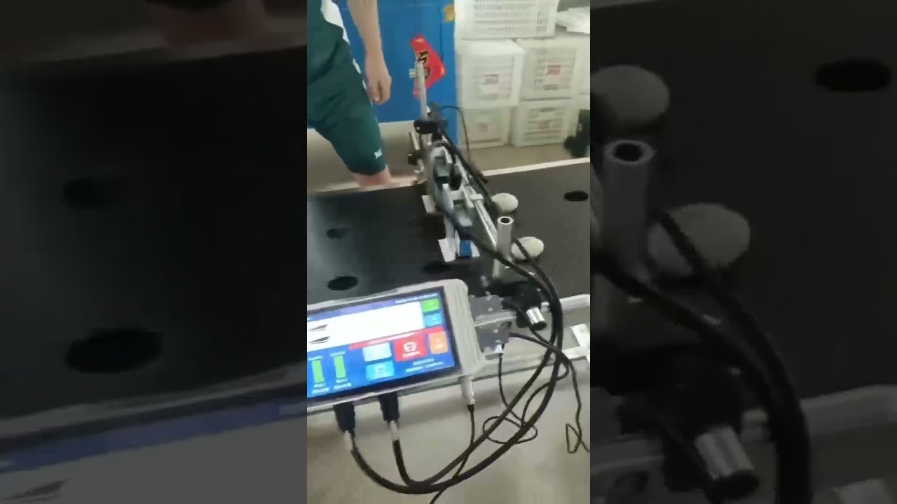 eggs logo printing by online inkjet printer with conveyor system