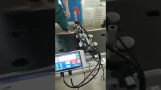 eggs logo printing by online inkjet printer with conveyor system