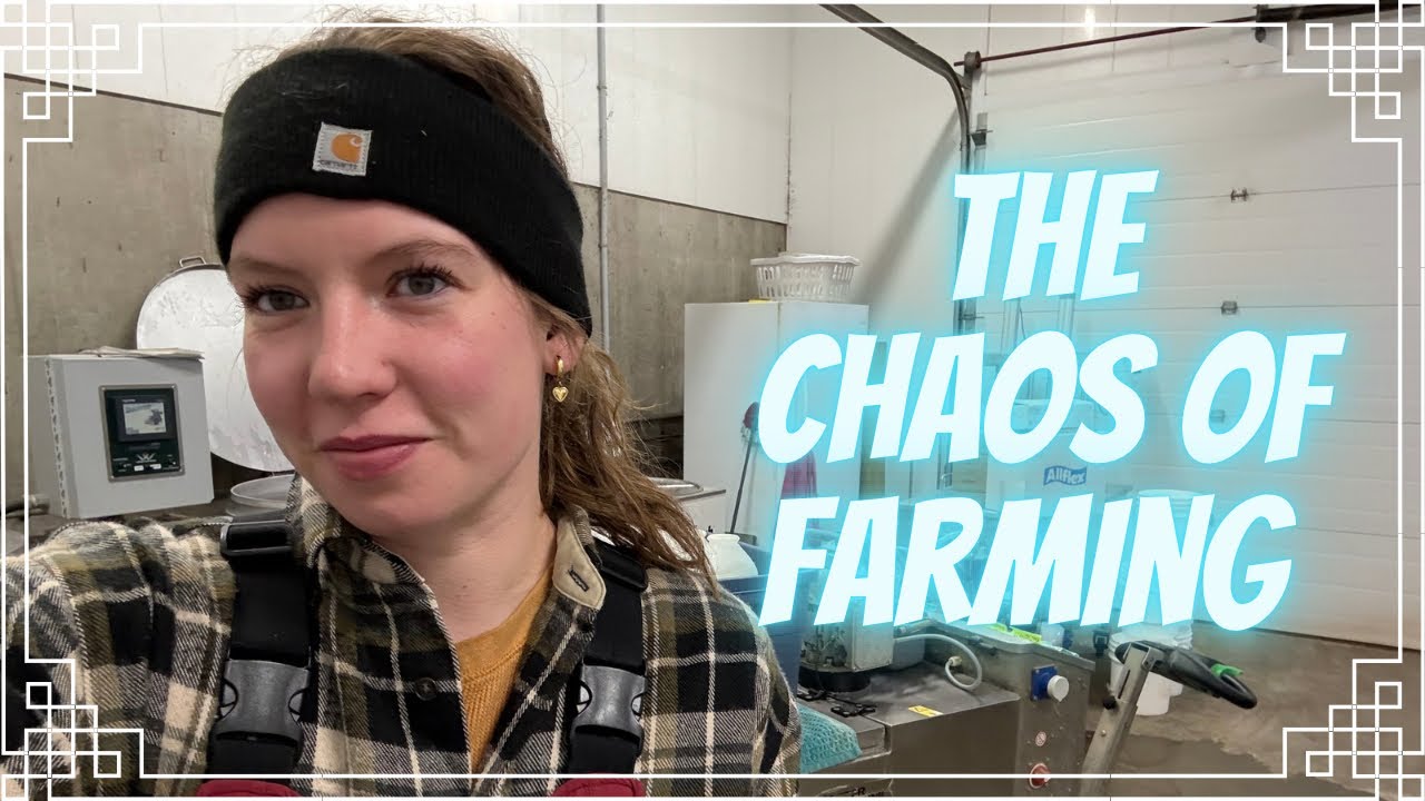 Удивительная погода и хаос в сельском хозяйстве!