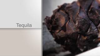 TITULARES AGRONOTICIAS sie7e PROGRAMA 220