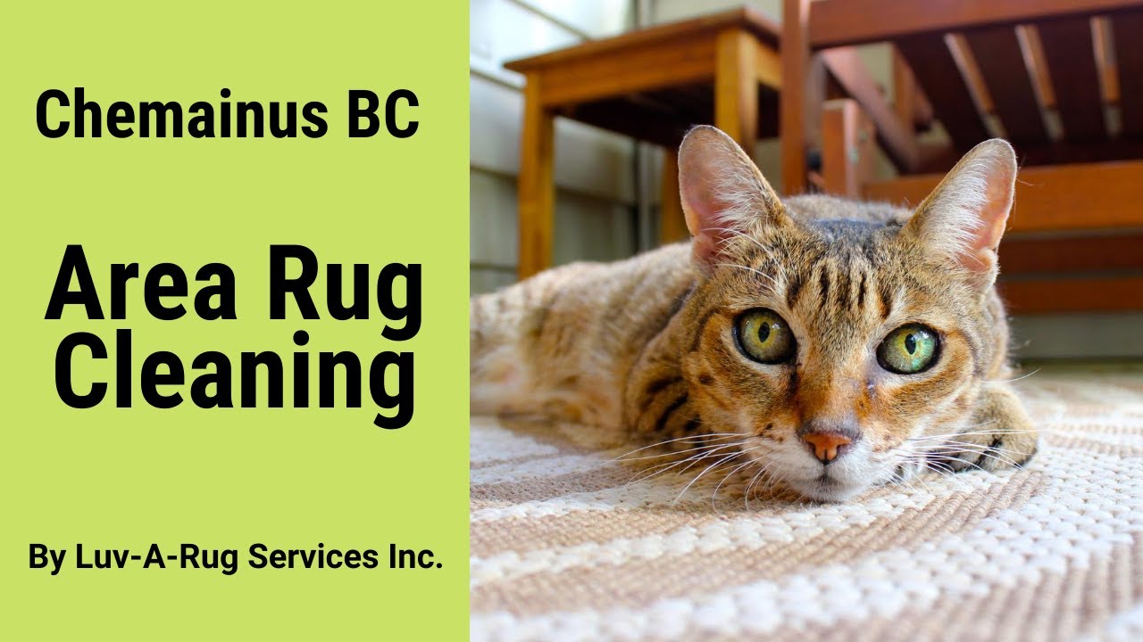 Chemainus BC Area Rug Cleaning By Luv A Rug