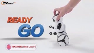 Top Race® Remote Control Robot, Smart Self Balancing Robot, 5 Modes