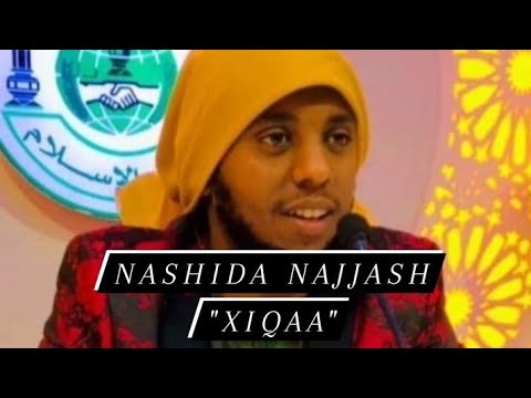 NASHIDA NAJJASH By DURSAWEYSI 