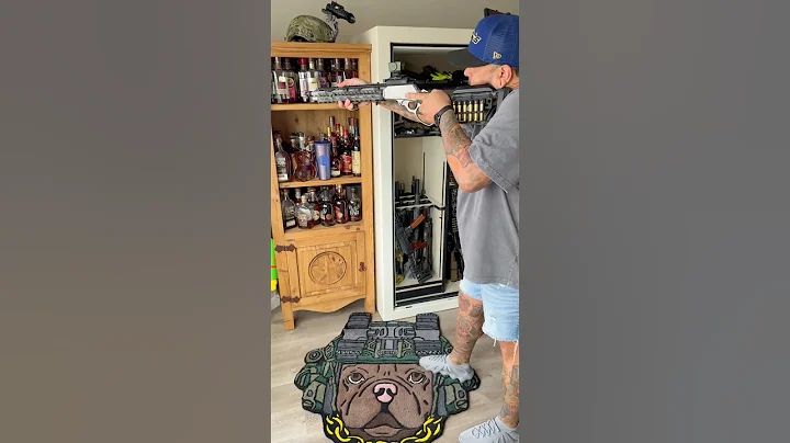 Are Lever Actions worth it?