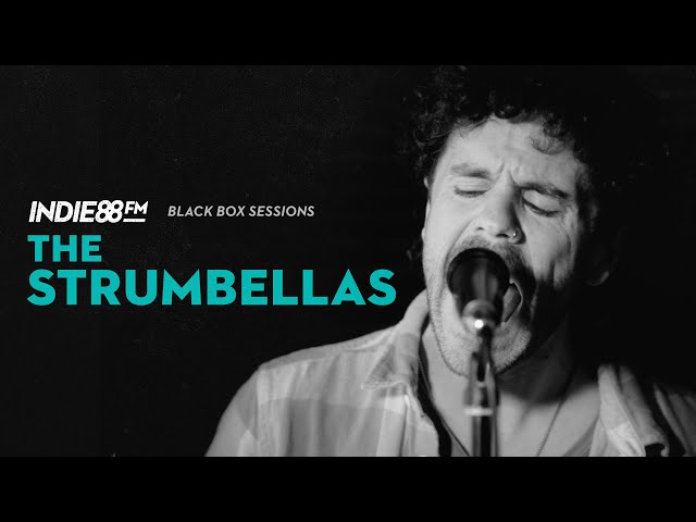 The Strumbellas - Hold Me (Lyrics) 