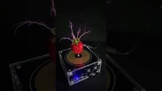 Music Tesla Coil Speaker | sales upto 50% off Grab Now  | Link in comment and description