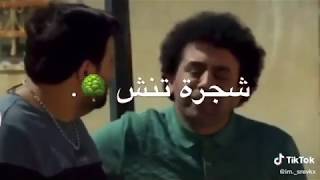 عماد فراجين || قول بحبح ...خط حرير ع حيط خليل 😄