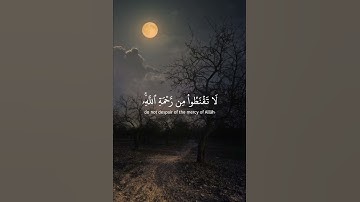 قال تعالى{لا تقنطوا من رحمة الله}فضيلة الشيخ ياسر الدوسري سورة الزمر #القرآن_الكريم #ياسر_الدوسري