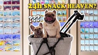 Visiting A 24 Hours Vending Machine Cafe For Dogs  | AMAZING