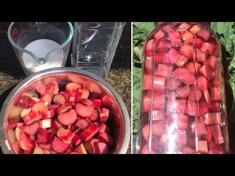 Rhubarb Liqueur Recipe