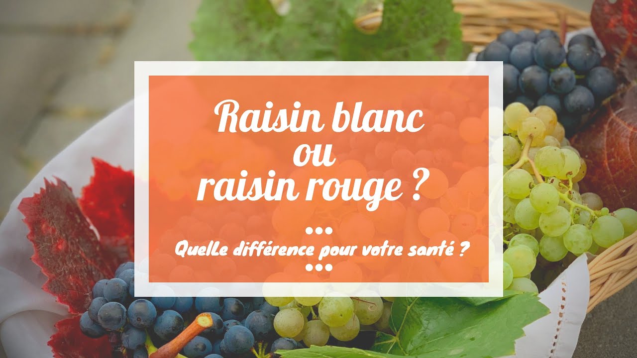 Raisin blanc ou raisin rouge ? Quelle différence pour votre santé