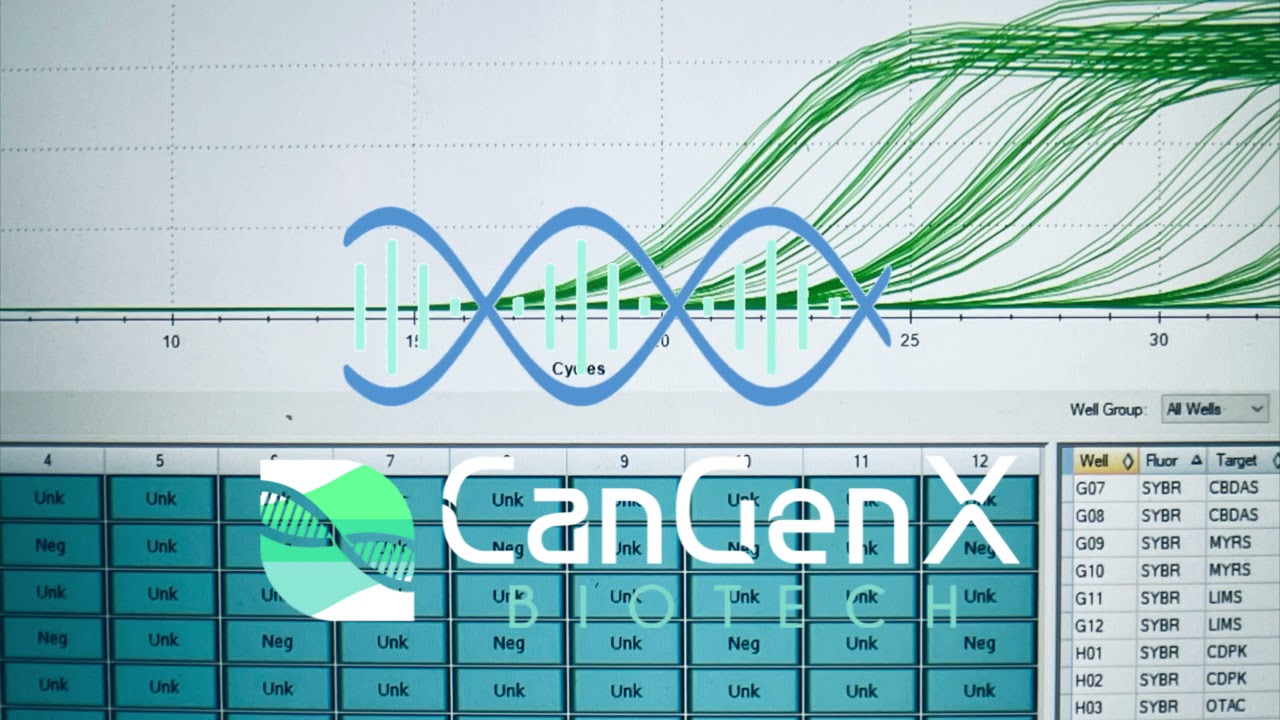 Molecular Profiling In Action At CanGenX™