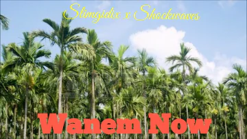 Slim Gidix x Shockwaves - Wanem Nau