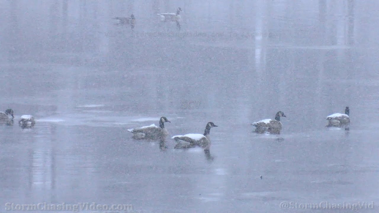 Rice Lake, WI Winter Snow Scenes 1129/2022 YouTube